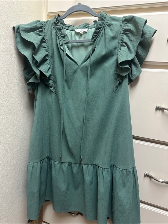 entro Dresses & Skirts - entro Sage Green Pleated Bodice Dress